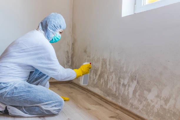 Licensed Mold Remediation service in Canton, NC - 24 Hour Mold Removal