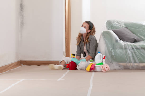 Reliable Mold Remediation contractor in Canton, NC by 24 Hour Mold Removal