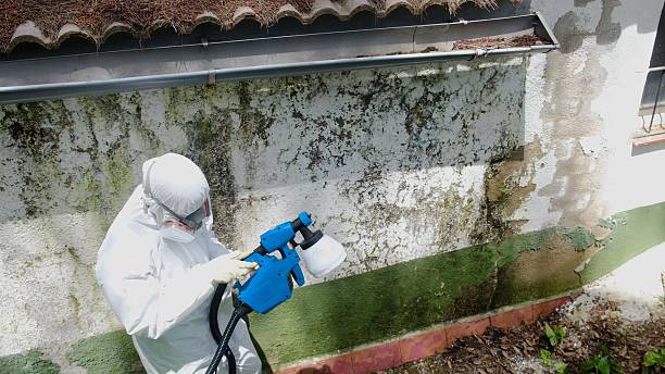 Top rated local Mold Remediation specialists in Canton, NC